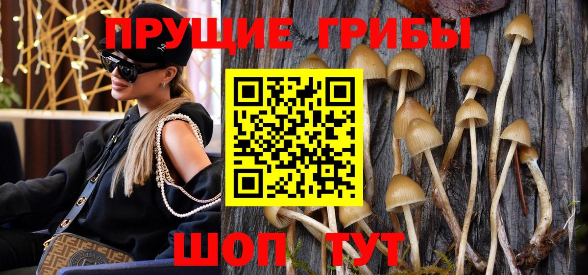 Амурск  Псилоцибиновые грибы MAGIC MUSHROOMS  Вход с VPN 