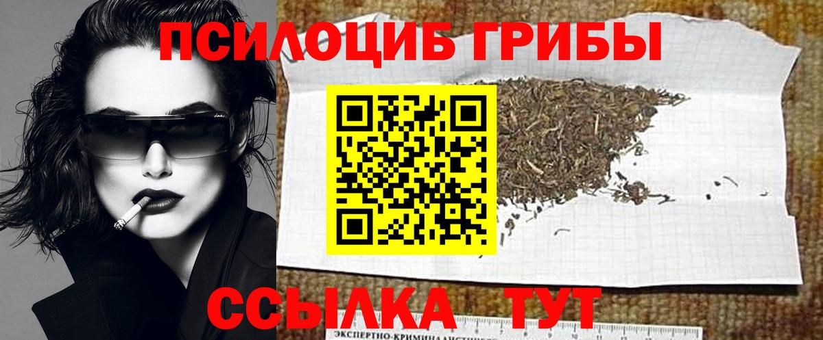Галлюциногенные грибы Psilocybine cubensis Амурск